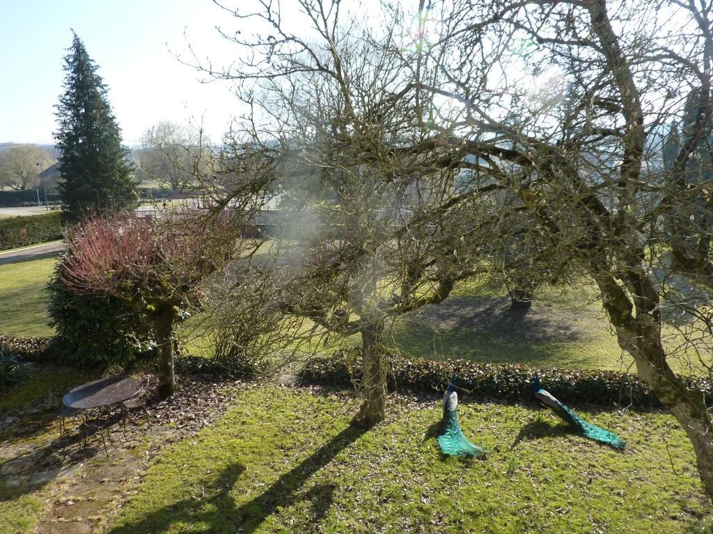 Chambres D'Hotes La Corne Aux Vaches Fretigney-et-Velloreille Bagian luar foto